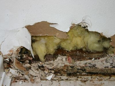 About Broadmoor Home Recovery - basement flood cleanup experts in Sherwood Park